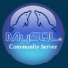 MySQL на распутье